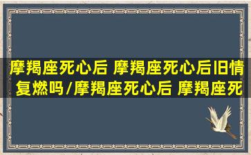 摩羯座死心后 摩羯座死心后旧情复燃吗/摩羯座死心后 摩羯座死心后旧情复燃吗-我的网站